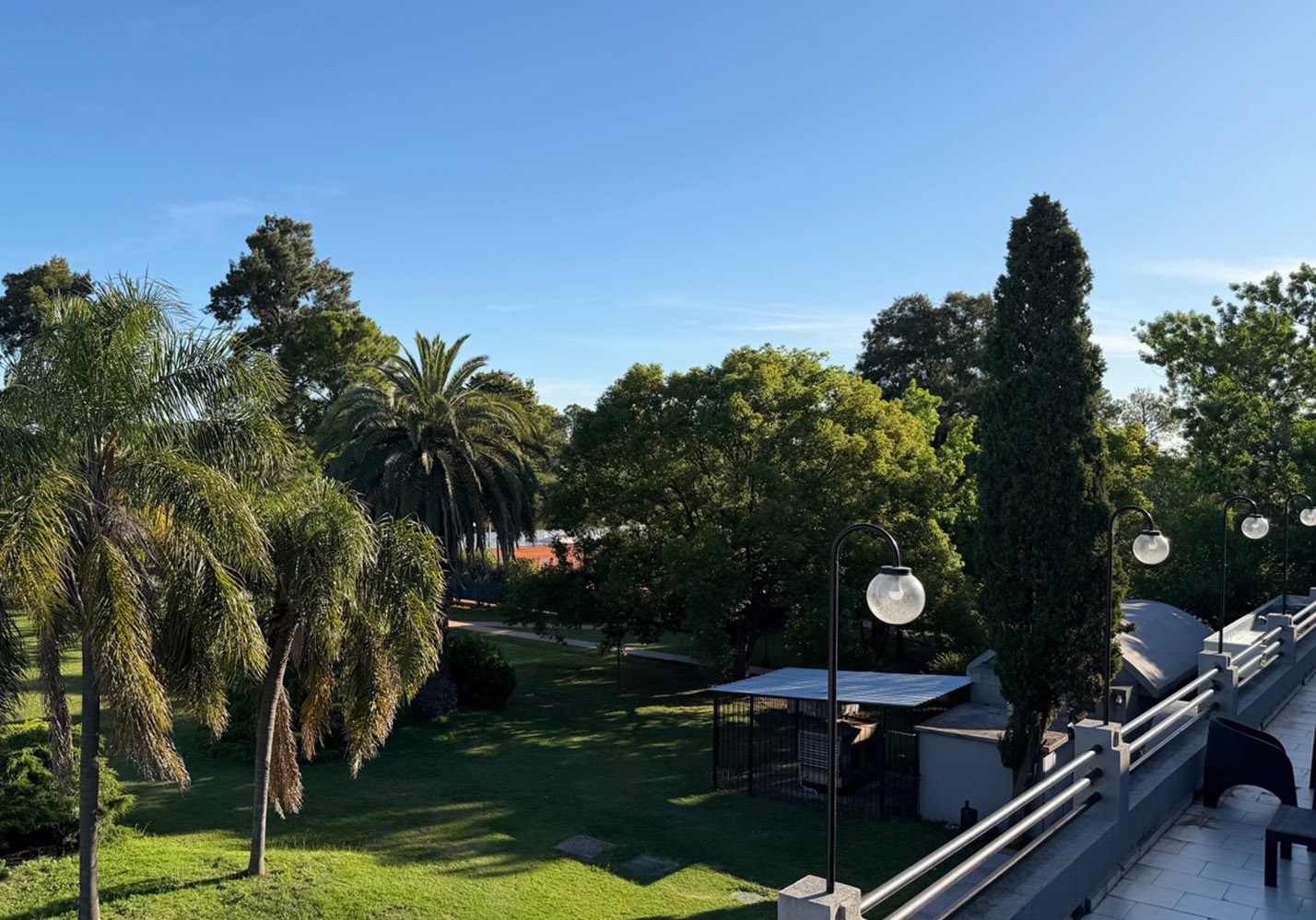 Galería Venado II