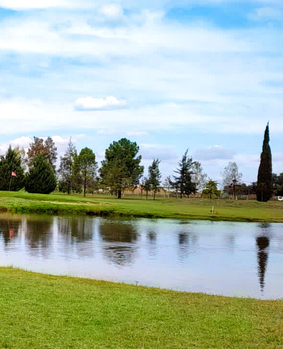 Galería Venado II